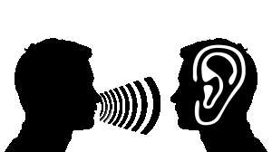 Ear 2973126