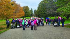 Ness walk group