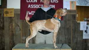 T0213 Photos Industry News