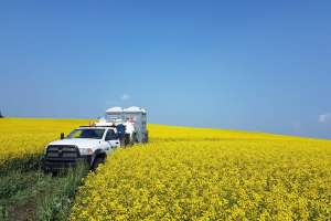 FB IMG 1534789778441 191114 155837