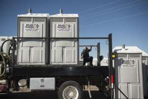 Bearnecessities24 Large