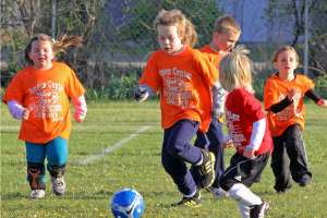 Community Involvement