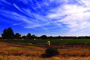 Hauler agent case study 170822 130858