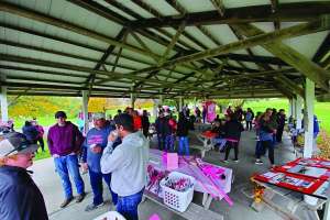 Ness cancerwalk