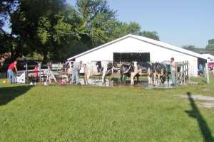 Celebrating Farm Town Values