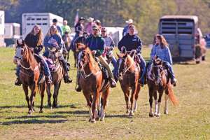 Setting Up Restrooms Along Rustic North Woods Paths